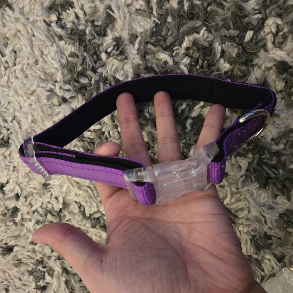 💜 Brand NEW Adjustable Purple Pet Collar - Size Large - Picture 2 of 3
